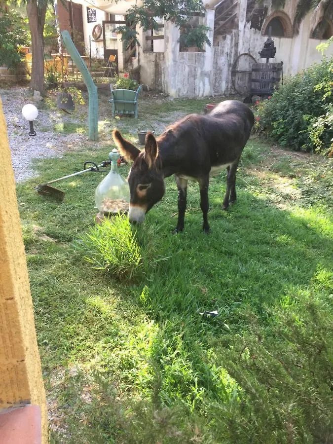 Le Stanze Di Zelinda Villa Suvereto Italy
